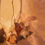 Laureen Marchand-Late-Season-30x30