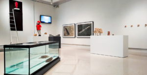 Edward Poitras_Revolution in the Rock Garden_ Treaty 4 Art Actions