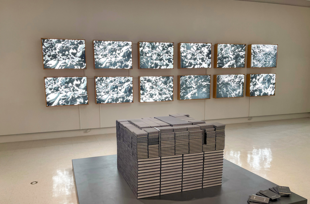 Pile of Cars (12). B:W images on mylar with vinyl type. 1994. 75.00 x 105.50 x 17.00 cm each. SK Arts Permanent Collection.