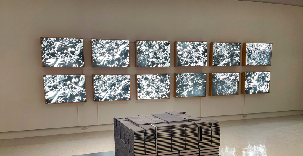 Pile of Cars (12). B_W images on mylar with vinyl type. 1994. 75.00 x 105.50 x 17.00 cm each. SK Arts Permanent Collection