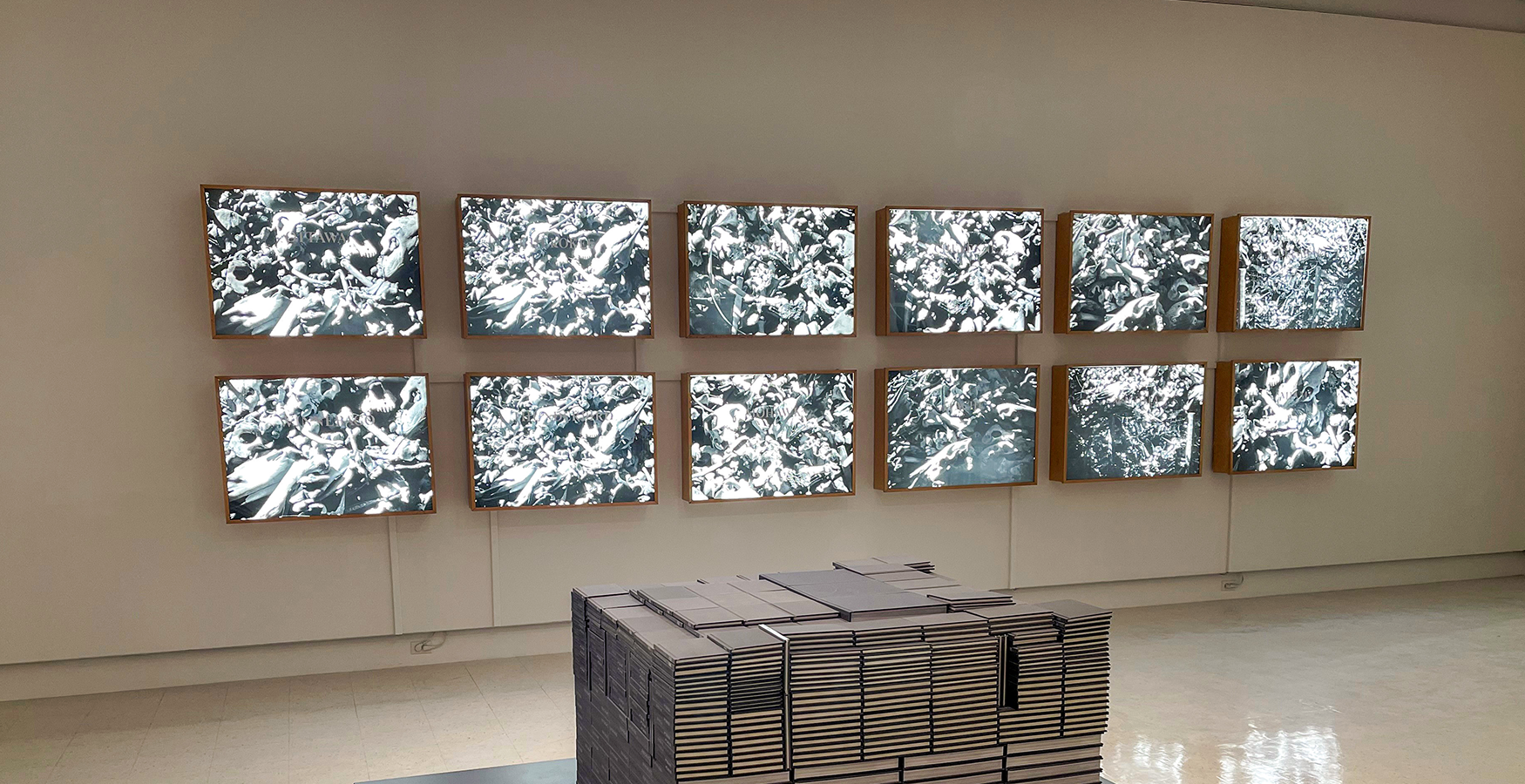 Pile of Cars (12). B_W images on mylar with vinyl type. 1994. 75.00 x 105.50 x 17.00 cm each. SK Arts Permanent Collection