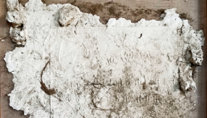 Gladys Wozny Siemens current exhibition at the AGSC