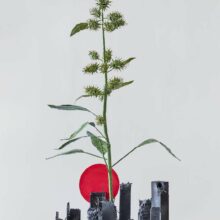 Jude Griebel_Illuminated Collapse16