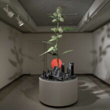 Jude Griebel_Illuminated Collapse3